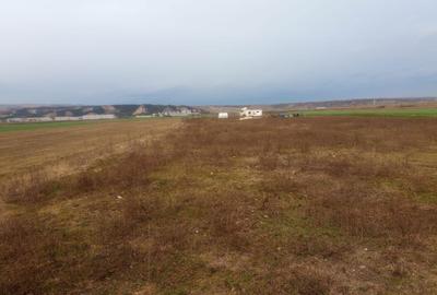 Spațiu comercial, în Mihai Viteazu - 5