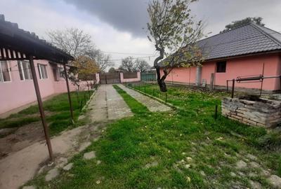 Vand casa in Sanmartinul Sarbesc sau schimb cu apartament in Timisoara - 3