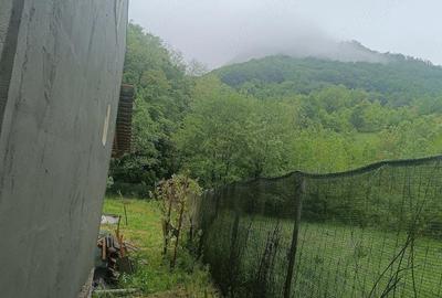 Casă cu Teren 1046 Mp în Hărțăgani - 9