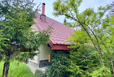 Vila vacanta Cheia - Prahova, pretabila pentru investitie - 27