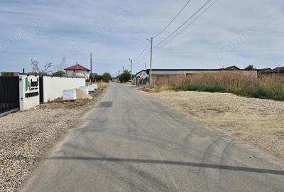 Teren intravilan 16.248 mp - Domnesti - 5