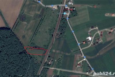 Teren de 4350 mp, în Bălteni - 4