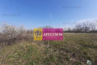 Teren de 4800 mp, în Glina - 4