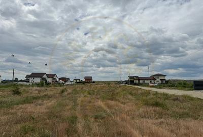 Teren 10.000 mp - Str. Octavian Goga, Craiovei! - 5