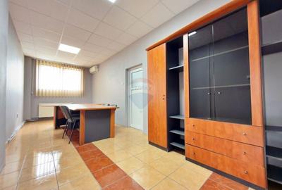 Spațiu industrial, de 6,132 mp, în Aradul Nou - 18