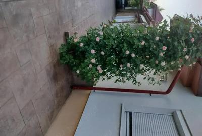 Casă cu Teren 1172 Mp în Corbeanca