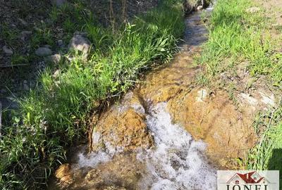 Casa de vanzare cu 46774 mp teren in zona Vintu de Jos Casa de vanzare cu 46774 mp teren in zona Vintu de Jos - 18