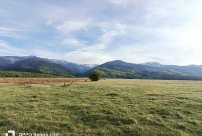 Teren de 2000 mp, în Berivoi - 4