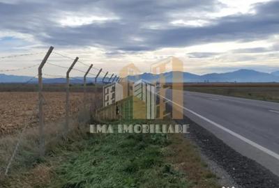 Teren de 14450 mp, în Feldioara - 3