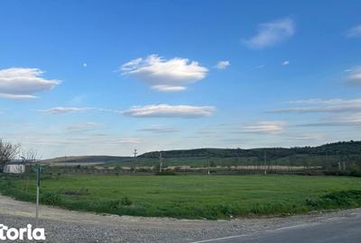 Teren de 10900 mp, în Bălțați - 1