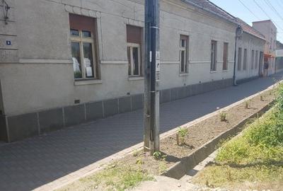 Casă cu 4 camere în Făget - 1