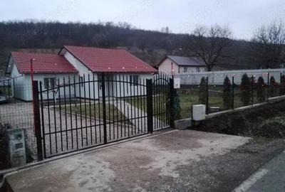 Casă cu 2 camere cu Teren 2984 Mp în Avrămești - 10
