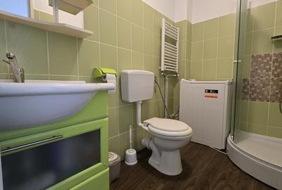 Mansarda cu 3 camere de inchiriat pe strada Soimului din Sibiu - 8