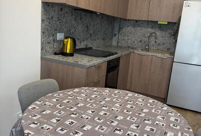 STUDIO DE INCHIRIAT PIPERA // PET FRIENDLY // COMPLEX IVORY - 3