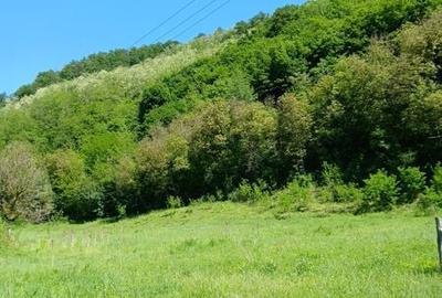 Teren de 3848 mp, în Central