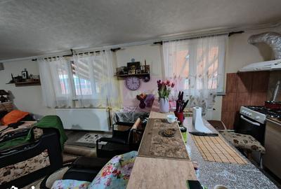 Casă cu 3 camere semidecomandat cu Teren 320 Mp în Colibași - 13