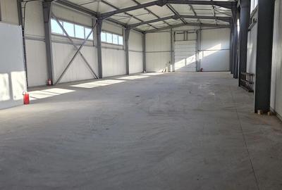 Spațiu comercial, 480 mp în Central - 6