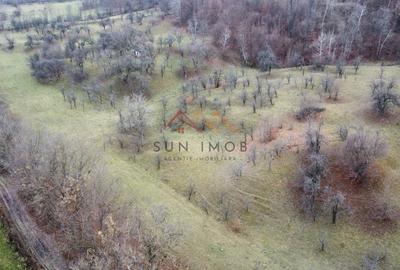 Teren 36000 m2, intravilan+partial extravilan, cadastru, Draganeasa PH - 9