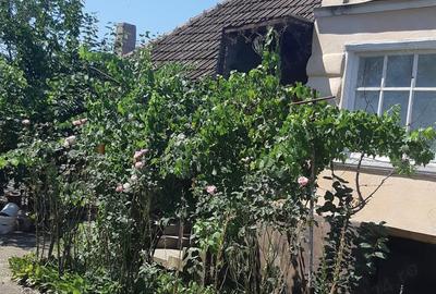 Casă cu 3 camere în Suplacu de Barcău - 4