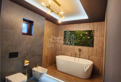 Spațiu comercial, de 437 mp, în Lazaret - 9