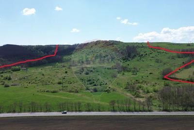 Teren de 659000 mp, în Copșa Mică - 13