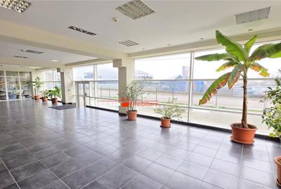 Showroom cu hala si spatiu locativ Marghita, Bihor - 10