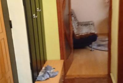 Apartament cu 2 camere în Vladimirescu - 5