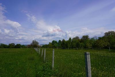 Teren Construcții intravilan de 2486 mp, în Sud - 3