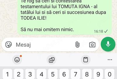Apartament cu 3 camere decomandat în Micălaca - 3