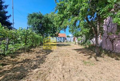 Casa singur in curte Mure? Mure?eni - 7