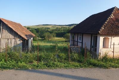 Teren Construcții intravilan de 3300 mp, în Firminiș - 3