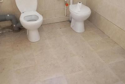 Spațiu comercial, de 400 mp, în Topleț - 3