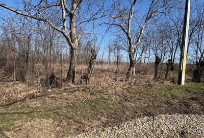 Teren de 1000 mp, în Butea - 5