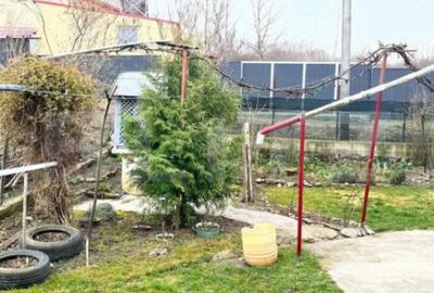 Casă cu 4 camere cu Teren 4600 Mp în Central - 3