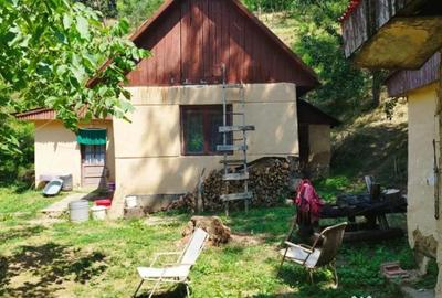 Casă cu 2 camere cu Teren 7500 Mp în Valea Roșie - 6