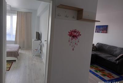 Apartament cu 2 camere decomandat în Roșu - 8