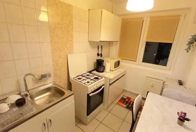 Apartament cu 2 camere semidecomandat, mobilat în Timișoara - 6