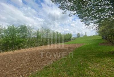 Teren de 1200 mp, în Sadu