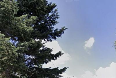 Teren Construcții intravilan de 847 mp, în Colentina - 3