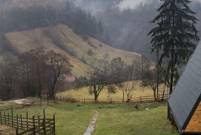 Casă cu 2 camere cu Teren 400 Mp în Dâmbovicioara - 5