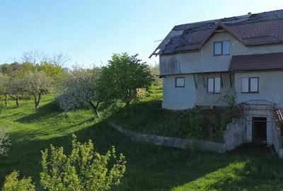 Teren 4800 mp cu Livada si Casa Nefinalizata - Adancata! - 13