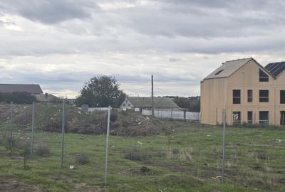 Vand teren in Palazu Mare lot de casa - 10