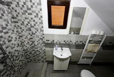 Cabana complet echipata in Baile Figa 5 dormitoare, 2 - 31