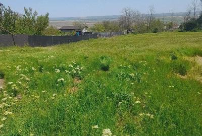 Teren de 1500 mp, în Foltești - 3