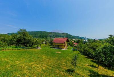 Vila de vanzare cu priveli?te superba Cicarlau - 16