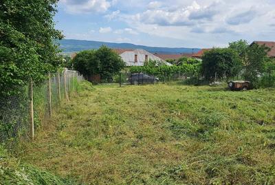 Teren de 428 mp, în Troianu - 7
