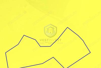 Teren intravilan 17,265 mp in Tomnatic, comuna Vadu Crisului - 2