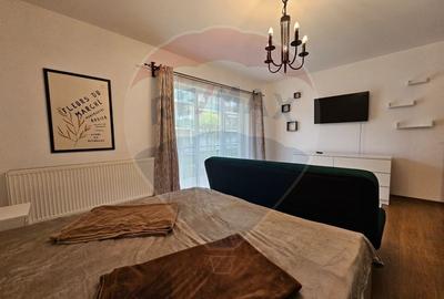 Inchiriez apartament cu 1 camera, renovat, parcare si balcon in Junior - 13