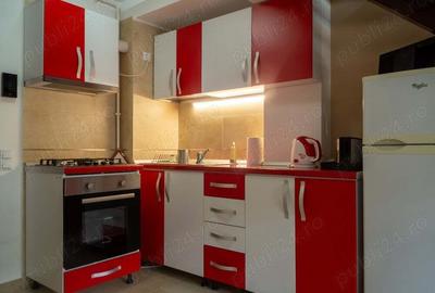 Penthouse Duplex Busteni Penthouse Duplex Busteni - 4