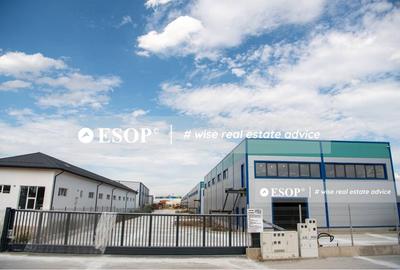 Spațiu industrial, de 600 mp, în Sud-Est - 1